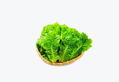 BBQ Lettuce<br>상추